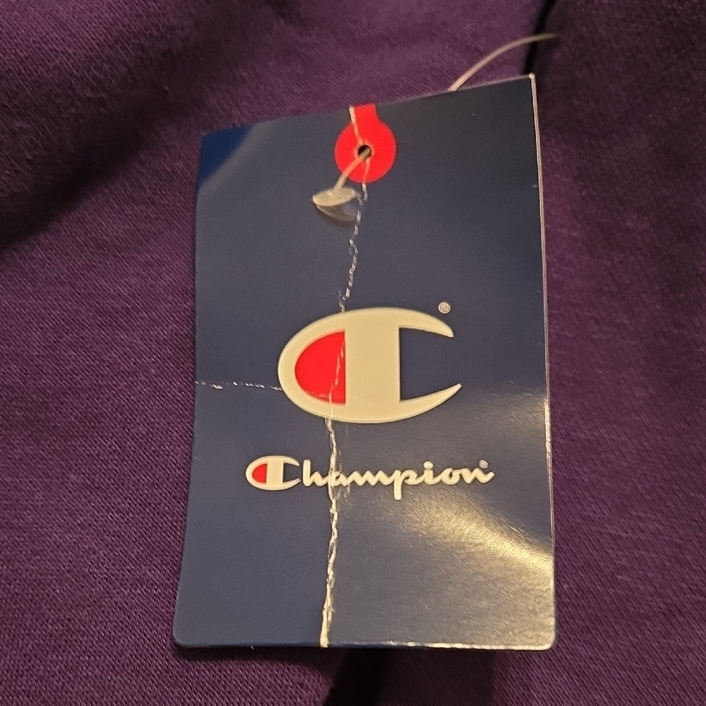Champion Purple TCU Texas Christian University Horned Frogs Crewneck Sw… - Picture 6 of 6